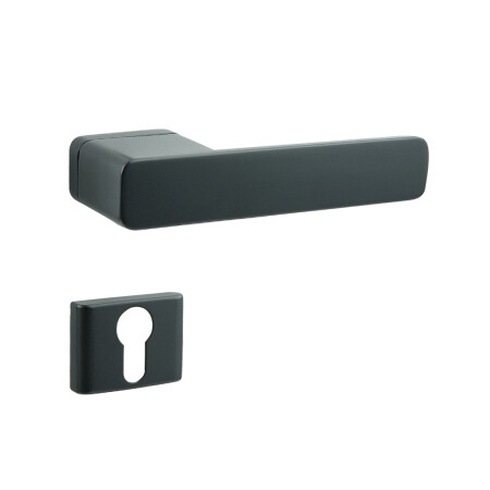 Dverné kovanie COBRA STRIGA-S (čierna)